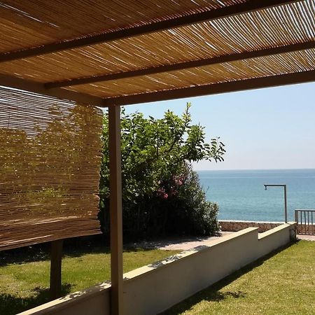 Dip In The Blue - 1 Villa Agios Georgios  Exteriör bild